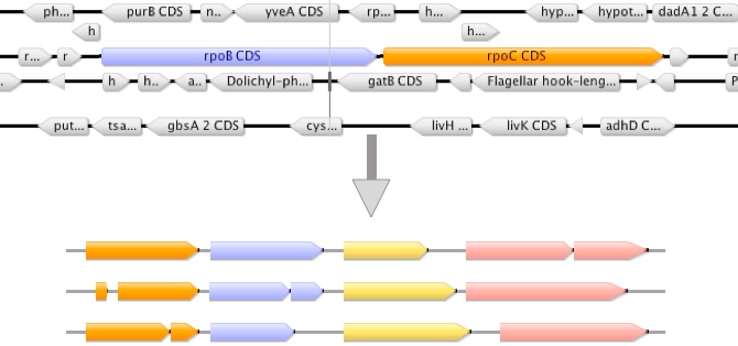 Selection of mlst genes